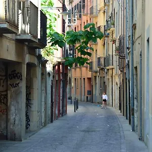 Housing Ginesta 9 , Girona Spain